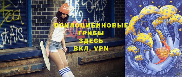 бошки Богородицк