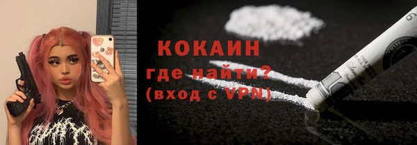 шишки Богородск