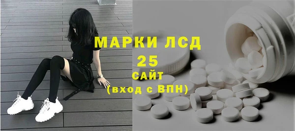 шишки Богородск