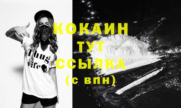 PSILOCYBIN Бугульма