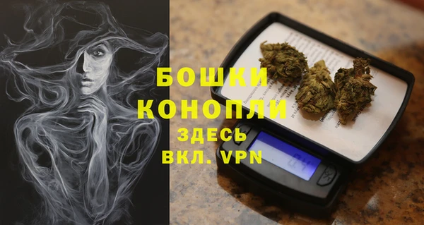 шишки Богородск