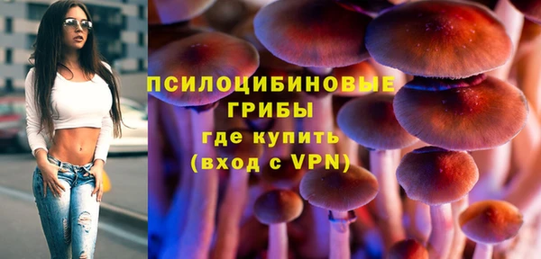 меф Бородино